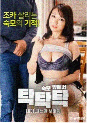 标本卡六封面，档案室灯光下的资料特写